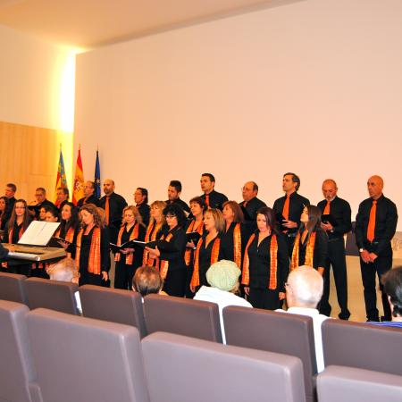 Ver imagen más grande