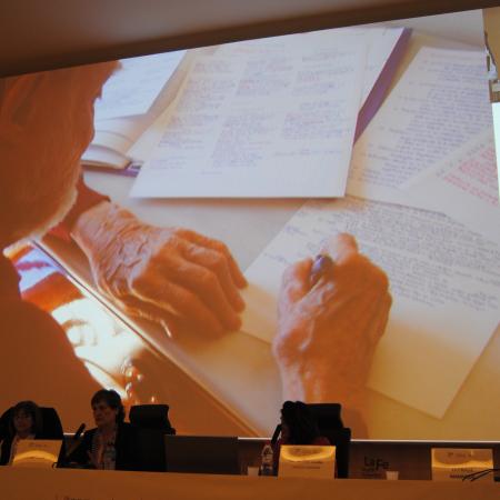 Ver imagen más grande