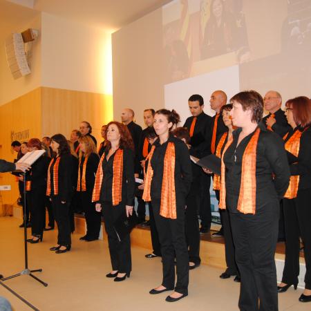 Ver imagen más grande