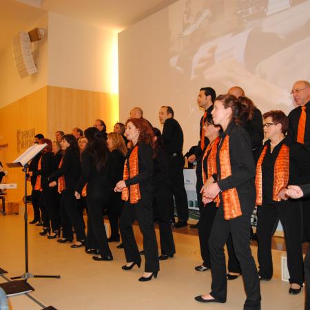 Ver imagen más grande