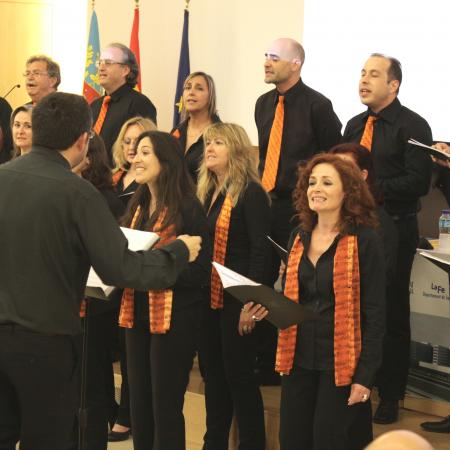 Ver imagen más grande