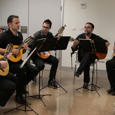 Ver imagen más grande