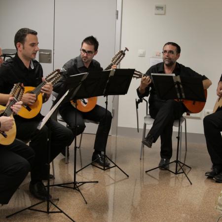 Ver imagen más grande